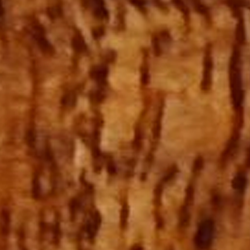 Maple